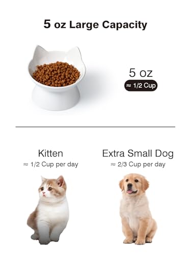ABRUTY Cat Food Bowl, 5 OZ Ceramic Elevated Kitten Water Bowl, 15° Tilted Raised Pet Feeder, Anti Vomiting and Whisker Friendly Dishes for Fat Faced, Cat, Kitten, Small Dog - color: White Cat, size: 1 Pack