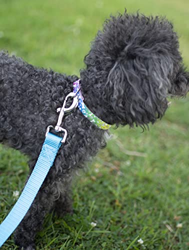 Country Brook Petz - Trippy Doggo Martingale Dog Collar - Groovy Collection Featuring Far Out Designs (1/2 Inch, 2XS) - color: Trippy Doggo, size: 2XS (Pack of 1)