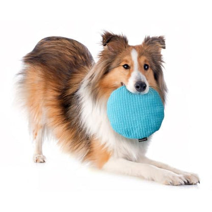 Playology Dog Toys | Plush Toy Crinkle Disc for Large Dogs | Peanut Butter Scented Jumbo Plush Chew Toy - size: Jumbo Disc, style: Peanut Butter