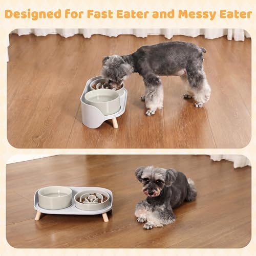 Elevated Slow Feeder Dog Bowls - Ceramic Food and Water Bowl Set with Stand - Raised Pet Dishes for Small and Medium Sized Dogs - color: Grey