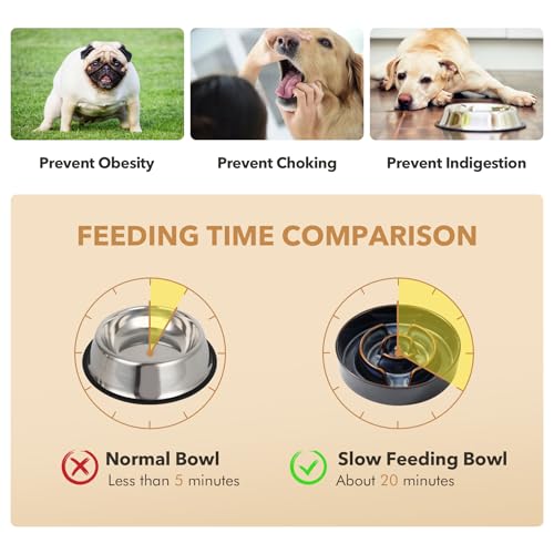 Havniva 1.2 Cup Elevated Slow Feeder Dog Bowls, 7.3” Dog Slow Feeding Bowls + 6.1” Ceramic Dog Water Bowls Set with Acacia Wood Stand, Dog Food Bowls Puzzle Feeder for Small Dogs Non-Slip Anti-choking - color: 2 x Starry Sky + Stand - A, size: M- 7.3inch