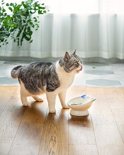 2Pcs Raised Cat Food Bowl Ceramic 15° Tilted Food Bowls Protect Cat's Spine Anti Vomiting Backflow Prevention Cat Bowls for Adult Kitten, and Small Dogs, Blue - color: Blue2P