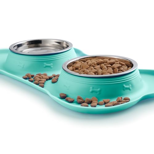 Hubulk Pet Dog Bowls 2 Stainless Steel Dog Bowl with No Spill Non-Skid Silicone Mat + Pet Food Scoop Water and Food Feeder Bowls for Feeding Small Medium Large Dogs Cats Puppies (Medium, Mint Green) - color: Mint Green, size: Medium