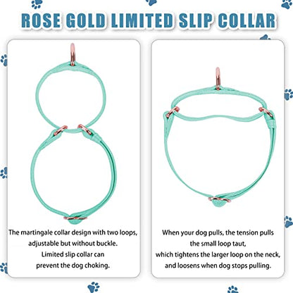 Soft Leather Martingale Dog Collar - Adjustable Rose Gold Limited Slip Collars [Easy to Clean], Stylish Durable Heavy Duty Nylon No Pull Training Collar for Small Medium Large Dogs XS Mint Green - color: Mint Green, size: XS (Neck 8"-11", Width 3/5")