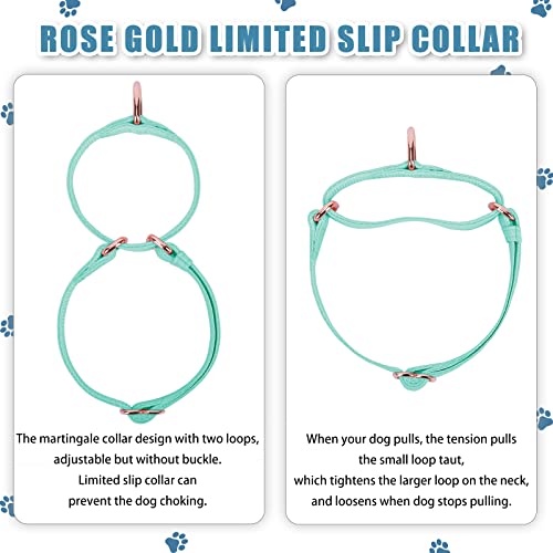 Soft Leather Martingale Dog Collar - Adjustable Rose Gold Limited Slip Collars [Easy to Clean], Stylish Durable Heavy Duty Nylon No Pull Training Collar for Small Medium Large Dogs S Mint Green - color: Mint Green, size: S (Neck 10"-15", Width 4/5")