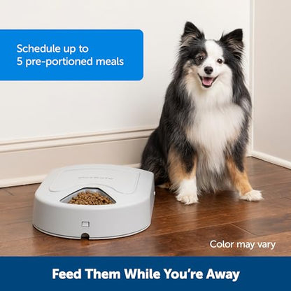 PetSafe Automatic Dog Feeder, 5 Meals, 40 oz Capacity, Plastic, for Dry Food, Multiple Pets (Pack of 2) - size: 5-Meal (Pack of 2)
