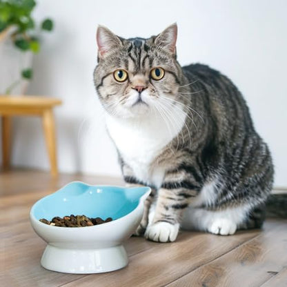 Raised Ceramic Cat Food Bowl - 15 Tilted, Spine Protection, Anti-Vomiting, Backflow Prevention for Adult Cats, Kittens, and Small Dogs (Blue Face) - color: blue white