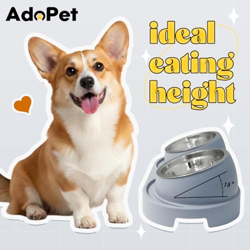 Non-Slip Tilted Double Dog & Cat Bowl with Removable Inserts, Anti-Tip Dual Food and Water Feeder for Small Dogs and Cats, Easy to Clean (Grey) - color: Grey