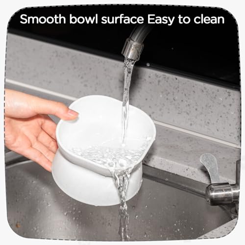 4 Pieces Plastic Tilted Elevated Cat Bowls Raised Cat Food Bowls Elevated Feeding Dish for Flat Faced Kitten Kitty Pets Supplies(White and Grey) - color: White and Grey