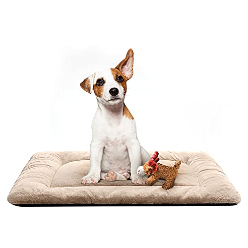 Dog Beds Crate Pad for Medium Dogs Fit Dog Crates,Washable & Anti-Slip Kennel Pad for Dogs Cozy Sleeping Mat,Cream 30inch - color: cream, size: 30.0"L x 19.0"W x 1.0"Th