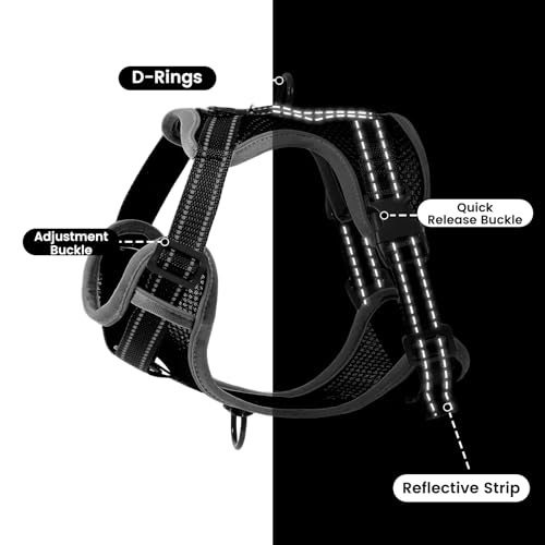 No-Pull Dog Harness with Dog Leash Breathable Mesh Adjustable Soft Padded Pet Vest Reflective for Small/Medium/Large Dogs Walking, Training - color: Black, size: M