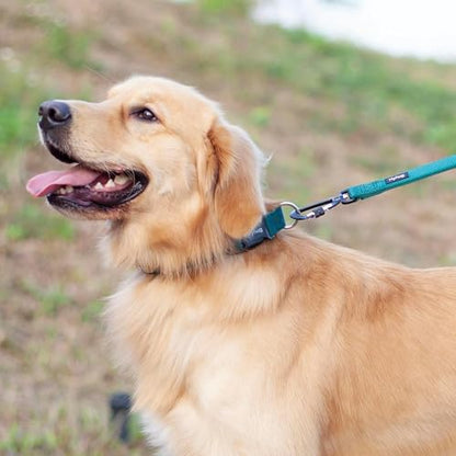 Hyhug Medium Dog Collar:Heavy-Duty Quick-Release Nylon Buckle, Adjustable & Durable, Cute Dog Collar (Medium, Dark Green) - color: Dark Green, size: Medium