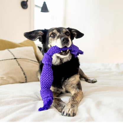 Playology Dog Toys | Dri-Tech Dental Rope Toy for Large Senior Dogs, Gentle on Teeth | Pork Sausage Scented Jumbo Toy | Dog Rope for Tug of War - size: Jumbo Rope, style: Pork Sausage