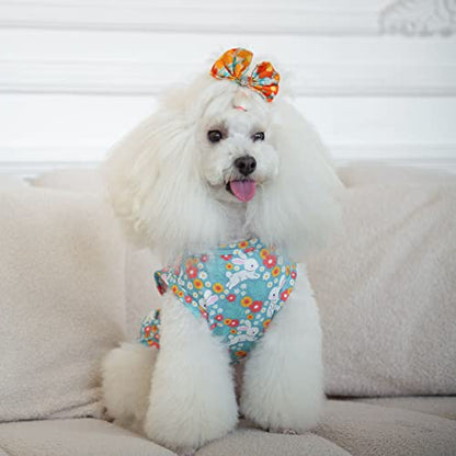 CuteBone Dog Shirts 2-Pack Soft Pet Clothes Breathable Summer Vest for Small Puppy and Stretchy Cat Apparel - color: Clovers&rabbits, size: Medium