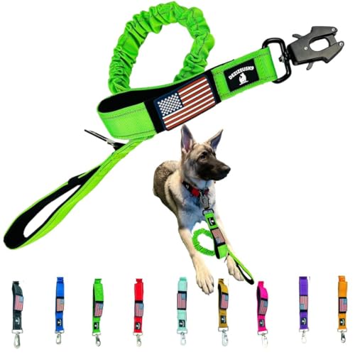 Heavy Duty Bungee Dog Leash - Shock Absorbing, Seat Belt Clip, Quick Release Frog Clasp, Double Padded Handles, for Large and Medium Dogs, Durable for Training, Walking, Car Safety, Outdoor Adventure - color: GREEN BUNGEE FROG