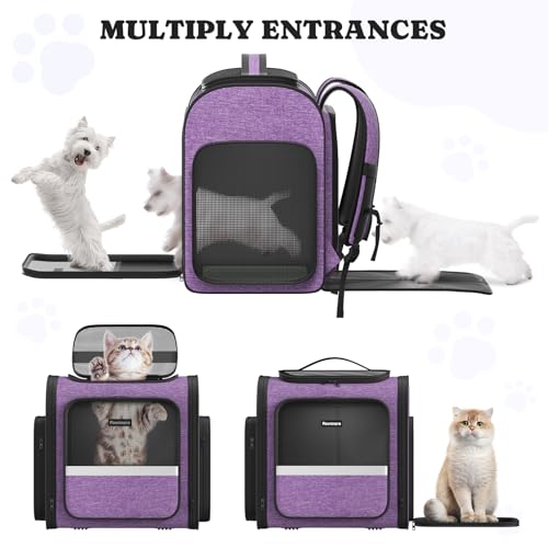 Pawtners Dog Carrier Backpacks Large Cat Backpack with Anti-Scratch Mesh, Foldable Designed Pet Backpack Carrier for Kitten Small Dogs & Large Cats Up to 18 Lbs, Dog Carrier for Travel Outdoor - color: Purple