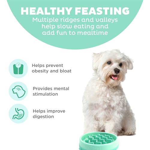 Outward Hound Fun Feeder Slo Bowl – Small 3/4-Cup Capacity, Slow Feeding, Small Dogs, Puppies & Cats, Non-Slip, Mint, Wave Pattern - color: Mint, size: Small