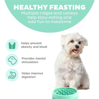 Outward Hound Fun Feeder Slo Bowl – Small 3/4-Cup Capacity, Slow Feeding, Small Dogs, Puppies & Cats, Non-Slip, Mint, Wave Pattern - color: Mint, size: Small