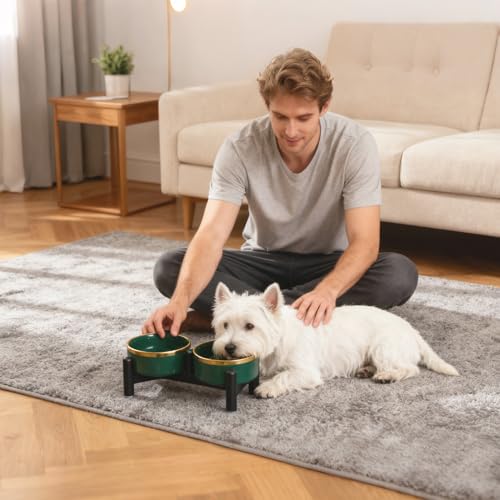 Elevated Ceramic Dog Bowl Set - Double Dishes with Stainless Steel Stand – Raised Feeding Bowls for Cats and Small Dogs - Food & Water Set - 5" / 1.6 Cups (160 g / 300 ml) - Gray - color: Gray, size: S