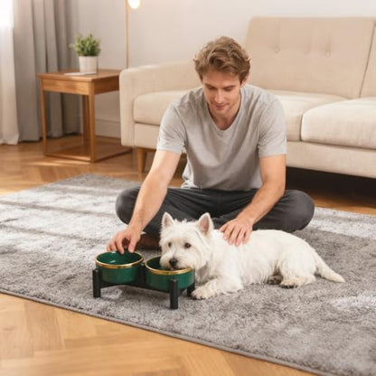 Elevated Ceramic Dog Bowl Set - Double Dishes with Stainless Steel Stand – Raised Feeding Bowls for Cats and Small Dogs - Food & Water Set - 5" / 1.6 Cups (160 g / 300 ml) - Gray - color: Gray, size: S