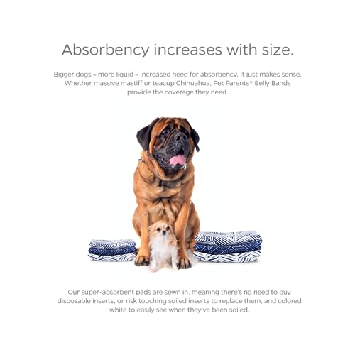 Pet Parents® Washable Belly Bands for Male Dogs (3pack) + Extendrs® of Durable Dog Diapers Male, Premium Male Dog Diapers & Dog Wraps (Small, Kahuna) - color: Kahuna, size: Small (13-16")