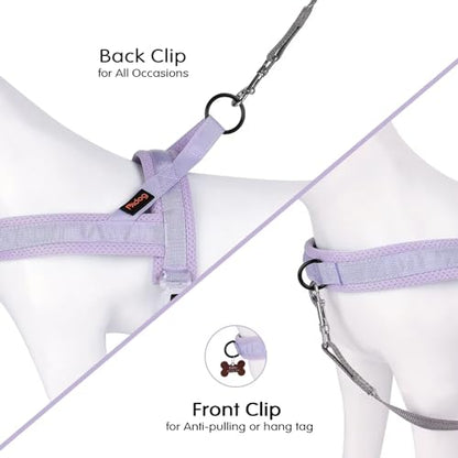 Didog No Pull Dog Harness with Breathable Mesh Padded, Quick Fit & Easy on Dog Vest Harness for Small Medium Large Dogs Training Walking(Purple,XS) - color: Purple, size: XS:Chest 15-19", Fit 8-17 lbs