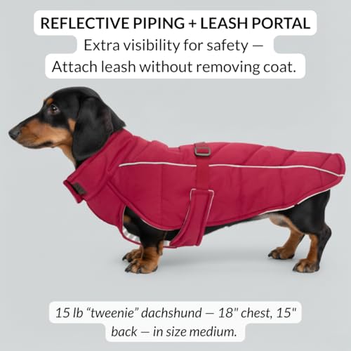 DJANGO Insulated Winter Dog Coat – Warm, Water-Repellent Puffer Jacket for Small Dogs, Dachshunds & Puppies – Adjustable, Reflective Cold-Weather Dog Coat with Harness Hole – Firelight Red, Small - color: Firelight Red, size: Small