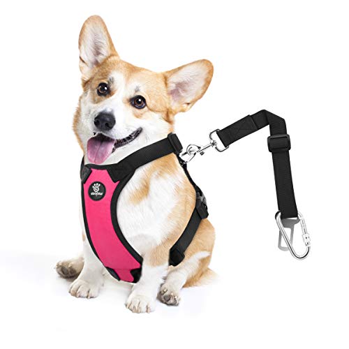 VavoPaw Dog Seat Belt, Safety Vest Dog Car Harness with Adjustable Buckle Dog Seat Belt for Vehicle Nylon Pet Safety Seat Belts Heavy Duty(M, Magenta) - color: Magenta, size: M (Chest: 19.7-26.4", Neck: 12.6-20.5")