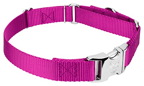 Country Brook Petz - Martingale Dog Collar - Heavy Duty Nylon Adjustable Martingale Dog Collar with Premium Buckle for Small Medium Large Breeds (5/8 Inch, Extra Small, Fuchsia) - color: Fuchsia, size: Extra Small (Pack of 1)