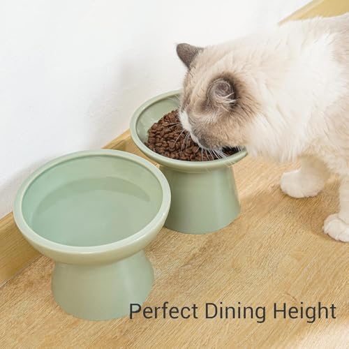 CEEFU 2 Elevated Ceramic Cat Bowls Extra Wide for Food & Water – Whisker Fatigue Shallow Food Dish, Lead & Cadmium-Free, Raised Height for Cats, Sage Green - color: Sage Green