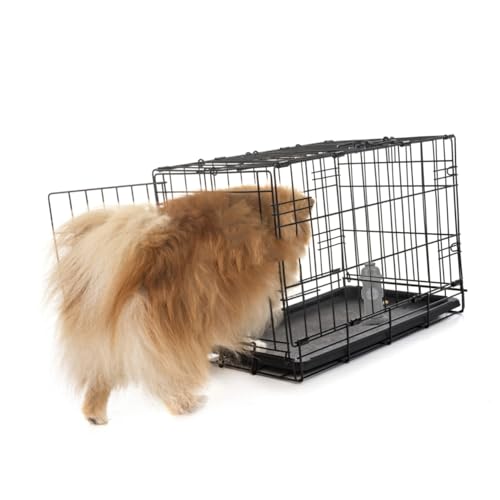 Dog Urine Post Training Toilet for Indoor Potty System Pet Accessory Easy Clean and Sturdy Construction