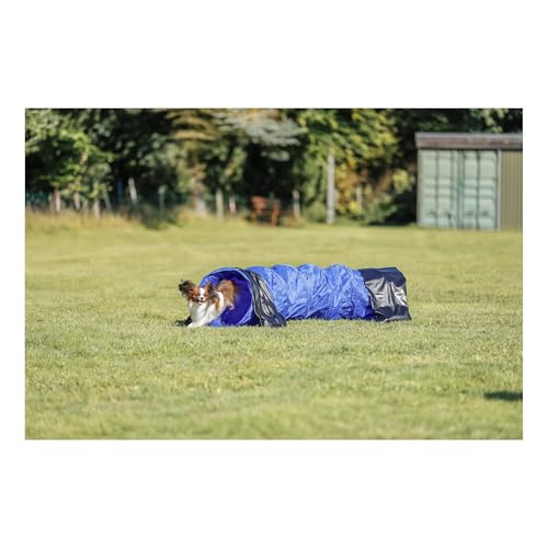TRIXIE Dog Agility Tunnel - l 78.7 in Long & 15.7 in Diameter | Agility Tunnel for Small Dogs, At Home Obstacle Training Equipment, Indoor and Outdoor Use - size: 78.5 x 15.5 x 15.5 in.
