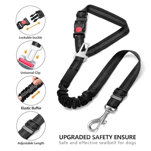 Dog Seat Belt, Adjustable Dog Safety Belt Leash, 2 in 1 Latch Bar Attachment Dog Car Seatbelt with Elastic Nylon Bungee Buffer Reflective Connect to Dog Harness（43in*0.98in） (Grey) - color: Grey