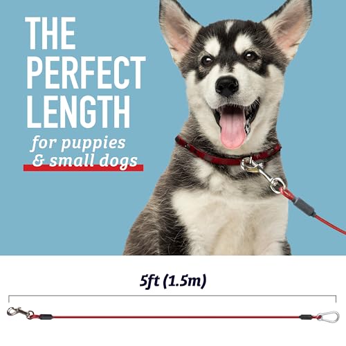 5 Foot Training Tie Out Cable - size: 5 Foot