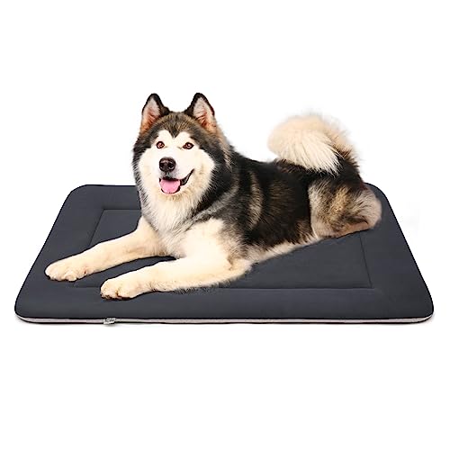 Large Dog Bed Soft Crate Pad Mat 47" Machine Washable with Non-Slip Bottom for Large Medium Dogs