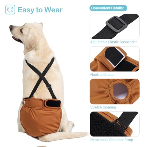 Avont 3 Pack Washable Female Dog Diaper with 1 Suspender, Reusable Girl Doggie Underwear Pants for Heat Cycle Period Incontinence Detachable Strap -Brown/Black/Grey XL - size: XL