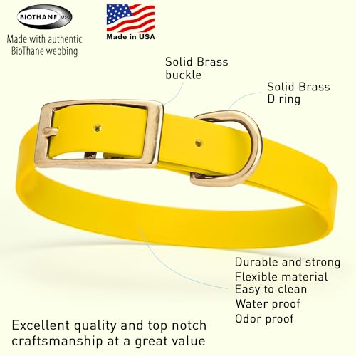 Viper Biothane Heavy Duty Waterproof Dog Collar Strong Coated Nylon Webbing w/Solid Brass Hardware Odor-Proof for Easy Care to Clean High Performance Fits Small Medium or Large Dogs, Lemon Yellow