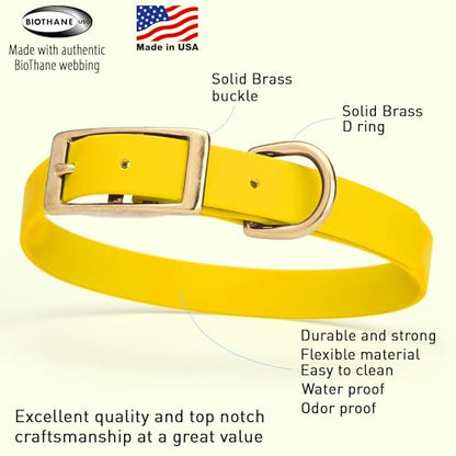 Viper Biothane Heavy Duty Waterproof Dog Collar Strong Coated Nylon Webbing w/Solid Brass Hardware Odor-Proof for Easy Care to Clean High Performance Fits Small Medium or Large Dogs, Lemon Yellow