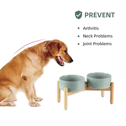 Havniva 7.3inch Ceramic Raised Dog Bowl with Stand, Double Dog Bowls Elevated for Medium Breed Dog Food and Water Bowl Set Non-Slip Dog Dish Large Capacity Feeding Pet Water Bowl - color: 2 Bowls+Stand - Light Green, size: 7.3inch