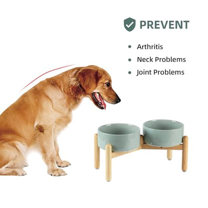 Havniva 7.3inch Ceramic Raised Dog Bowl with Stand, Double Dog Bowls Elevated for Medium Breed Dog Food and Water Bowl Set Non-Slip Dog Dish Large Capacity Feeding Pet Water Bowl - color: 2 Bowls+Stand - Light Green, size: 7.3inch