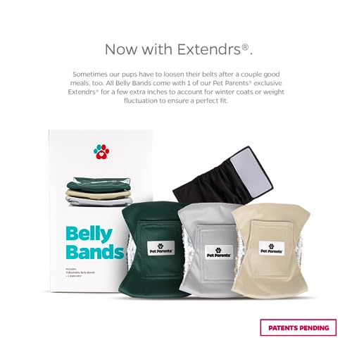 Pet Parents® Washable Belly Bands for Male Dogs (3pack) + Extendrs® of Durable Dog Diapers Male, Premium Male Dog Diapers & Dog Wraps (Small, Spruce) - color: Spruce, size: Small (13-16")