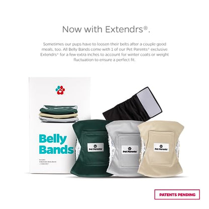 Pet Parents® Washable Belly Bands for Male Dogs (3pack) + Extendrs® of Durable Dog Diapers Male, Premium Male Dog Diapers & Dog Wraps (Small, Spruce) - color: Spruce, size: Small (13-16")