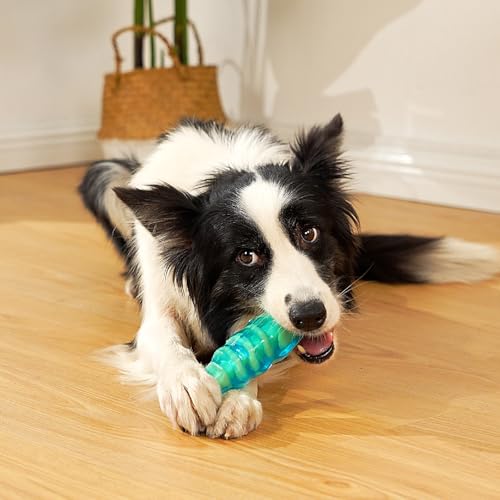 MewaJump Dog Chew Toys for Aggressive Chewers, Tough Dog Toy for Medium and Large Breeds, Indestructible Dog Toys, Durable Dog Toy, Bone Nylon Toy - color: jelly fish