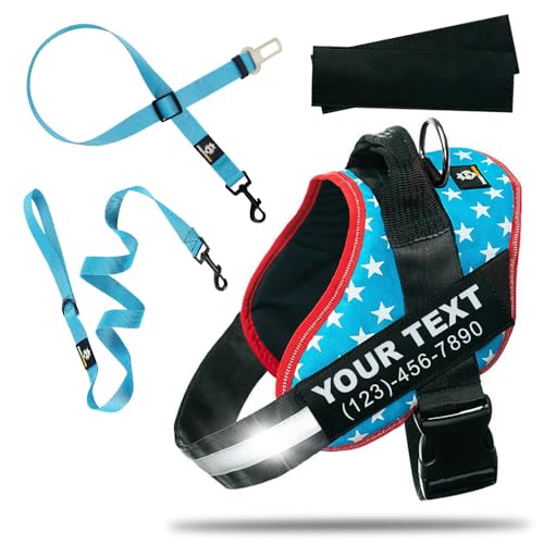 DOGGYKINGDOM Personalized Dog Harness and Leash Set with Seat Belt for Car, No Choke, Reflective, Adjustable Soft Padded Dog Vest Harness with Control Handle for Growing Puppy Size Dog, Light Blue, XS - color: Five Pointed, size: XS (Chest: 14 - 20 in)