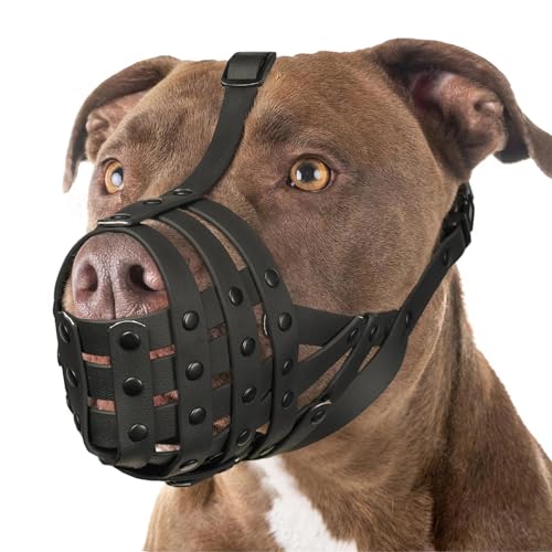 Mayerzon Pitbull Muzzle for Large Medium Sized Dogs to Prevent Biting Scavenging, Basket Muzzle for Rottweiler Staffordshire Terrier in Grooming Training, Allow to Pant Drink, Lightweight and Sturdy - size: M [Snout Cir: 9.75"-11"]