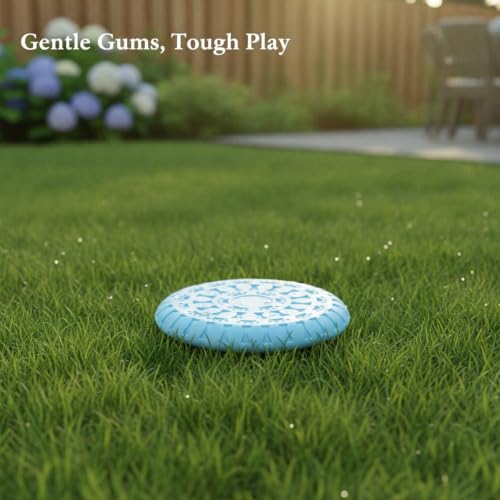 Soft TPR Rubber Dog Disc Toy, Flexible 8.7 Inch Flying Disc for Outdoor Fetch Training - color: Blue
