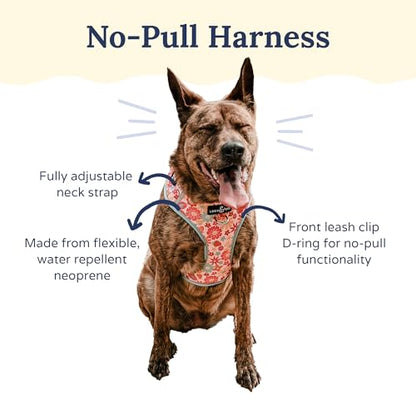 Lucy & Co. Cute No-Pull Y2K Baby Harness - Stop Pulling & Walk Easy - Harness Available in XS-XL for Small, Medium, and Large Dogs - Y2K Baby (X-Large) - color: The Y2K Baby No-Pull Harness, size: X-Large