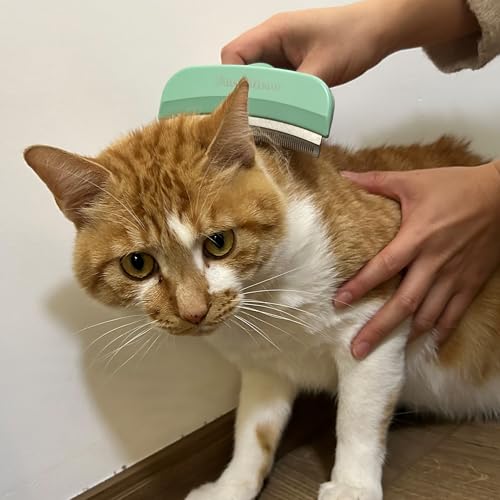 Pet Deshedding Tool with Curve Blade, Cat Grooming Brush, Tight V-shaped Teeth Shedding Comb for Cats and Dogs (Green, Large) - color: Green, size: Large