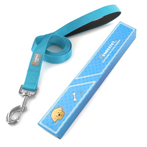 Basic Dog Leashes 6 FT Padded Handle Nylon Dogs Leashes for Small Dogs Light Blue - color: Light Blue, size: Small : 5/8" x 6 FT
