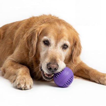 Playology Dog Toys | Dental Chew Ball for Large Senior Dogs | Pork Sausage Scented Jumbo Toy | Dog Balls for Healthy Teeth and Gums - size: Jumbo Chew Ball, style: Pork Sausage